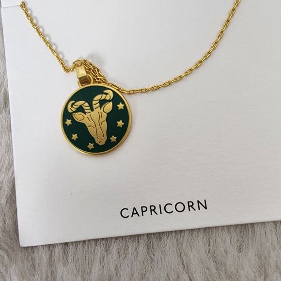 Madewell Jewelry - NWT Madewell Zodiac Collection Capricorn Gold Pendant Necklace